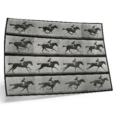 Poster Cavallo e cavaliere al galoppo, fototipo tratto da un'opera di Eadweard Muybridge del 1887