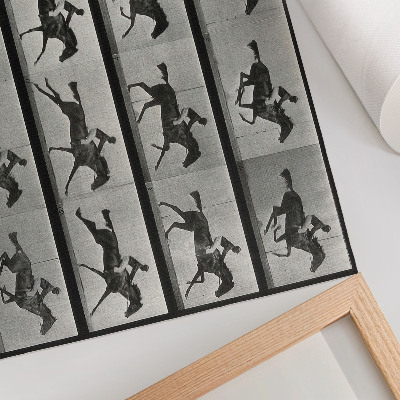 Poster Cavallo e cavaliere al galoppo. Fototipo tratto da un'opera di Eadweard Muybridge, 1887.