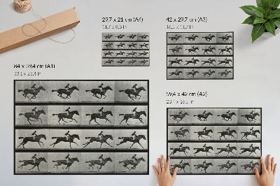 Poster Cavallo e cavaliere al galoppo. Fototipo tratto da un'opera di Eadweard Muybridge, 1887.