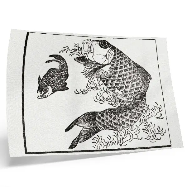 Poster murale di alta qualità illustrazione giapponese raffigurante una carpa di Hokusai