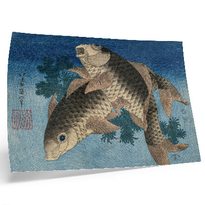 Stampa su tela moderna Carpa che nuota tra le alghe (1831) – Illustrazione giapponese di un pesce