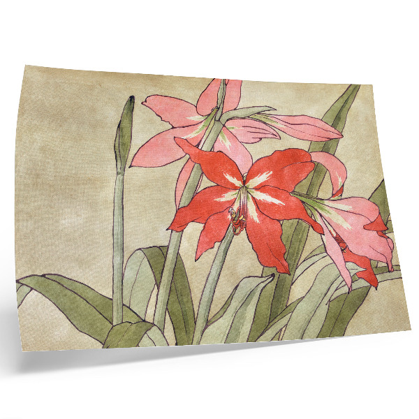 Poster Amaryllis (1915) di Hannah Borger Overbeck