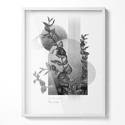 Bianca Cornice Per Poster 60x80 cm