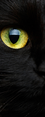 Tenda a rullo per interni modello occhi di gatto per finestra