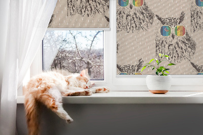 Tenda a rullo per porta finestra con stampa di gufi con occhiali colorati