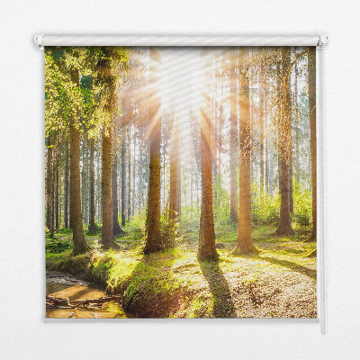 Tenda a rullo per finestra con stampa del sole che splende tra gli alberi