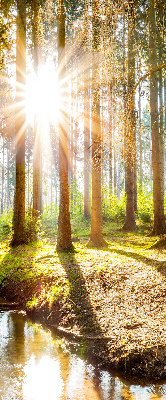 Tenda a rullo per finestra con stampa del sole che splende tra gli alberi