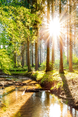 Tenda a rullo per finestra con stampa del sole che splende tra gli alberi