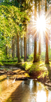 Tenda a rullo per finestra con stampa del sole che splende tra gli alberi