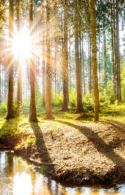 Tenda a rullo per finestra con stampa del sole che splende tra gli alberi