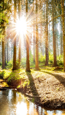 Tenda a rullo per finestra con stampa del sole che splende tra gli alberi