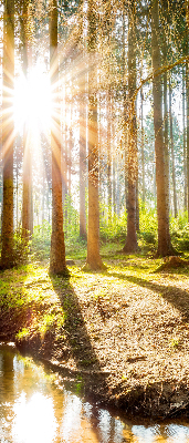 Tenda a rullo per finestra con stampa del sole che splende tra gli alberi