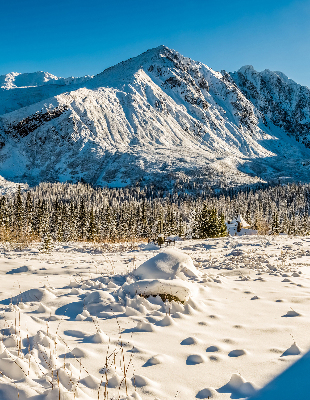 Tenda a rullo in tessuto con stampa a tema montagne