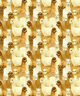 Tenda a rullo per finestra con stampa di un branco di alpaca