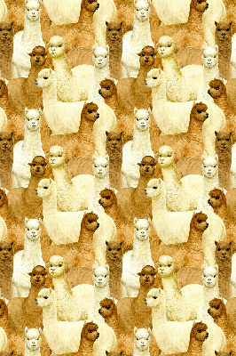 Tenda a rullo per finestra con stampa di un branco di alpaca