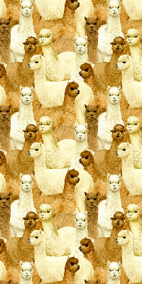 Tenda a rullo per finestra con stampa di un branco di alpaca