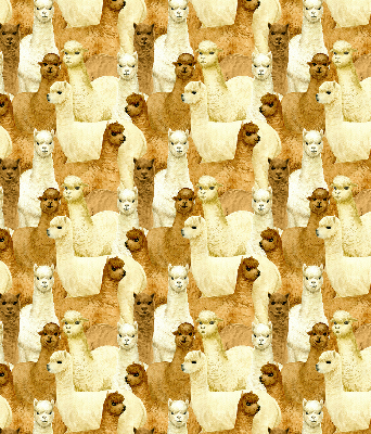 Tenda a rullo per finestra con stampa di un branco di alpaca