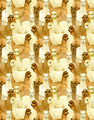 Tenda a rullo per finestra con stampa di un branco di alpaca