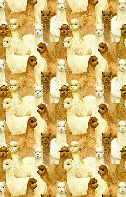 Tenda a rullo per finestra con stampa di un branco di alpaca