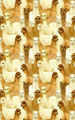 Tenda a rullo per finestra con stampa di un branco di alpaca