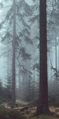 Tenda a rullo in tessuto con stampa di una foresta notturna