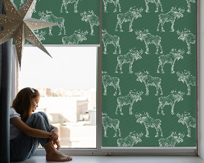 Tenda a rullo per porta finestra nel colore verde smeraldo