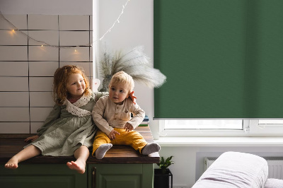 Tenda a rullo interna per finestra di colore verde