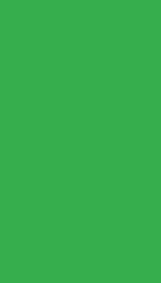 Tenda a rullo per finestra di colore verde