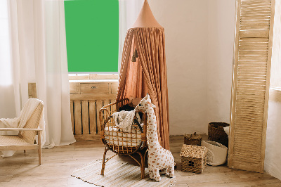 Tenda a rullo per finestra di colore verde