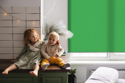 Tenda a rullo per finestra di colore verde