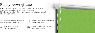 Tenda a rullo da interno di colore verde