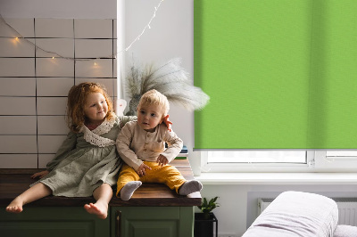 Tenda a rullo da interno di colore verde
