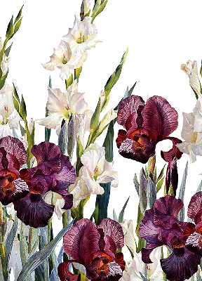 Tenda a rullo per porta finestra con motivo a piccoli fiori