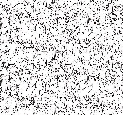 Tenda a rullo interna per finestra con fantasia di gatti disegnati