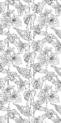 Tenda a rullo per interni con fantasia a fiori disegnati