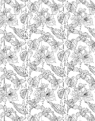 Tenda a rullo per interni con fantasia a fiori disegnati