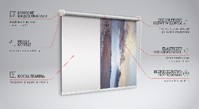 Tenda a rullo per finestra decorazione con quadro stampato