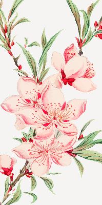 Tenda a rullo per interni con motivo a fiori rosa