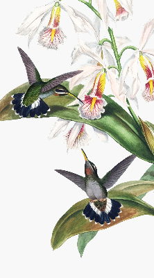 Tenda a rullo per finestra con stampa di uccelli su un fiore