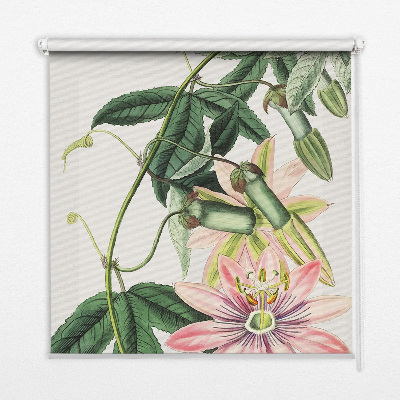 Tenda a rullo per finestra con fantasia a fiore rosa