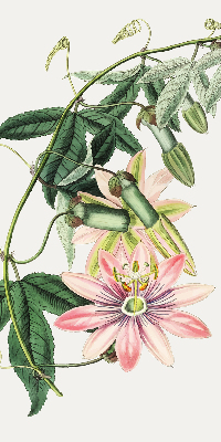 Tenda a rullo per finestra con fantasia a fiore rosa