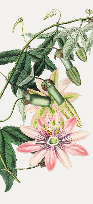 Tenda a rullo per finestra con fantasia a fiore rosa