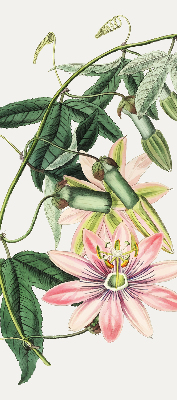 Tenda a rullo per finestra con fantasia a fiore rosa
