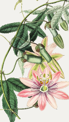 Tenda a rullo per finestra con fantasia a fiore rosa