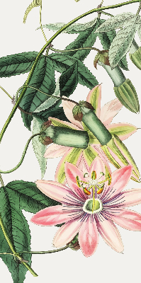 Tenda a rullo per finestra con fantasia a fiore rosa