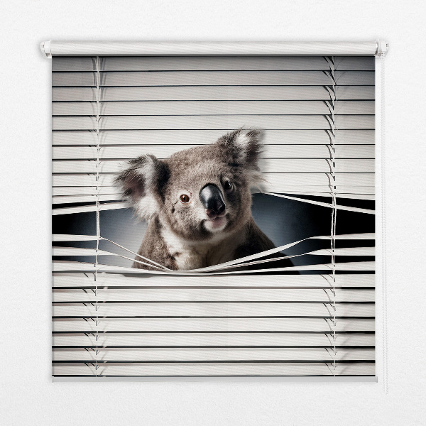 Tenda a rullo per finestra modello Koala