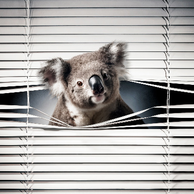 Tenda a rullo per finestra modello Koala