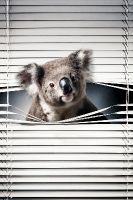Tenda a rullo per finestra modello Koala