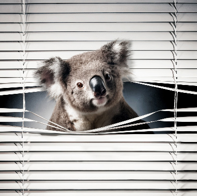 Tenda a rullo per finestra modello Koala