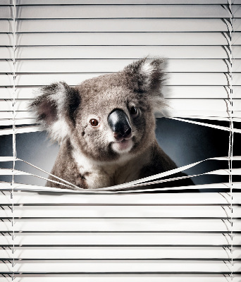 Tenda a rullo per finestra modello Koala